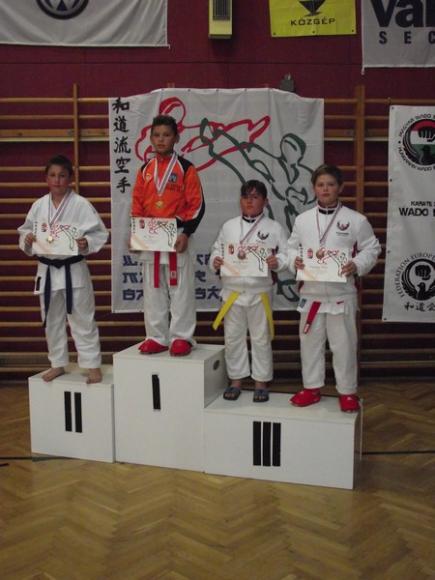 WadoKarate Bagyar Bajnokság 2013